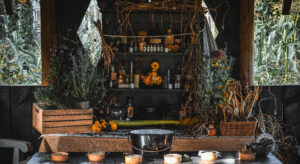 October half term at Beaulieu