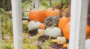 October half-term at Beaulieu