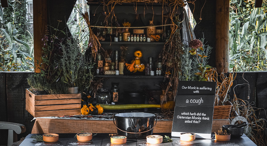 October half term at Beaulieu