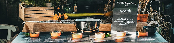 October half term at Beaulieu