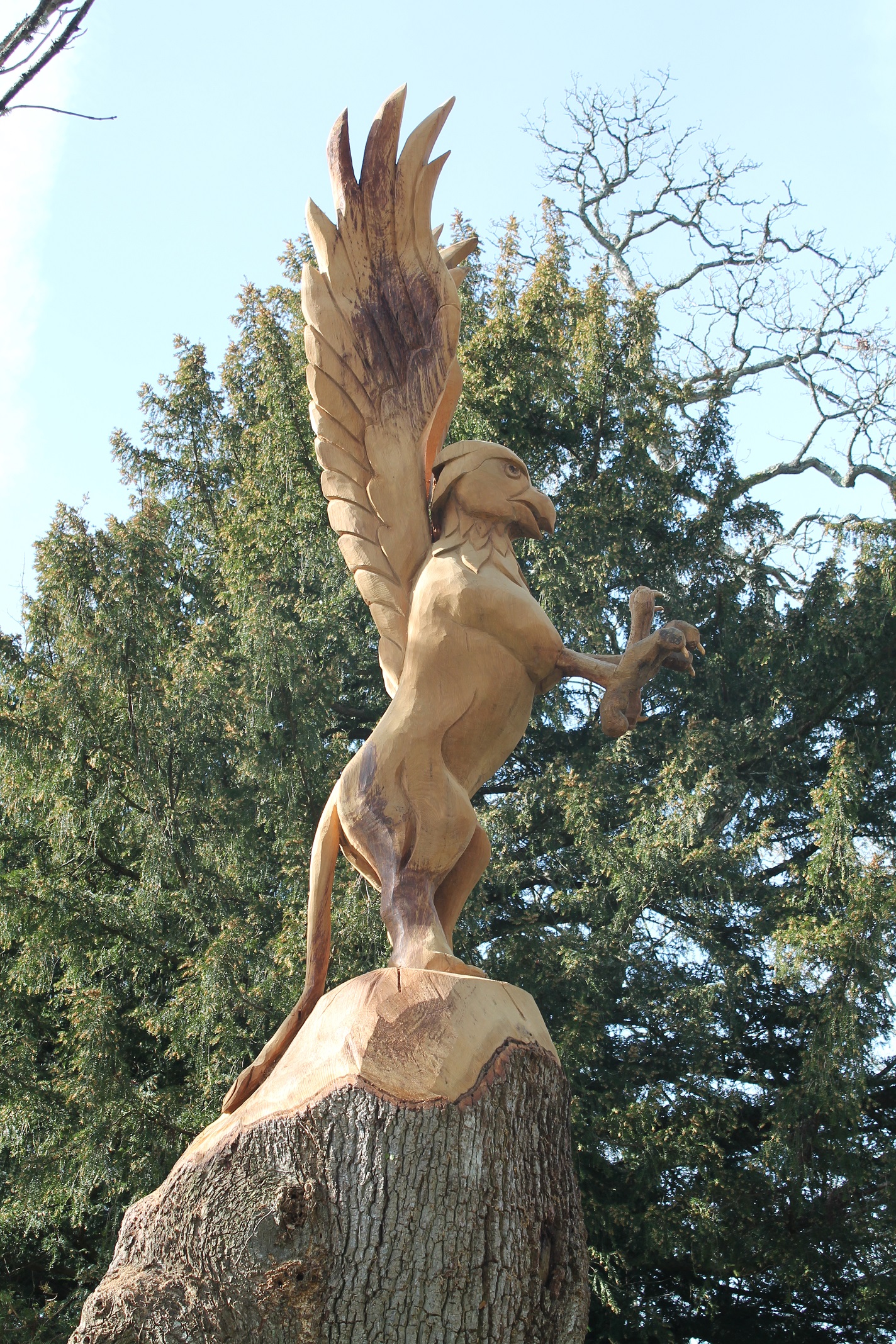 Griffin tree carving