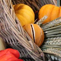 Harvest Festival themed decorations in Palace House