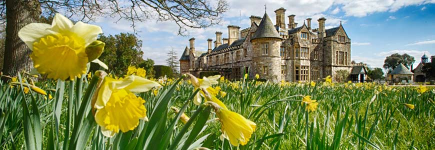 Palace House with daffodils in the foreground