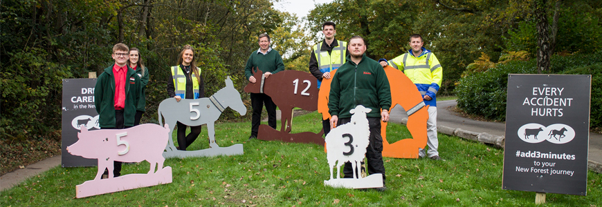 Beaulieu hosts New Forest 'animals' for safe driving campaign | Beaulieu New  Forest