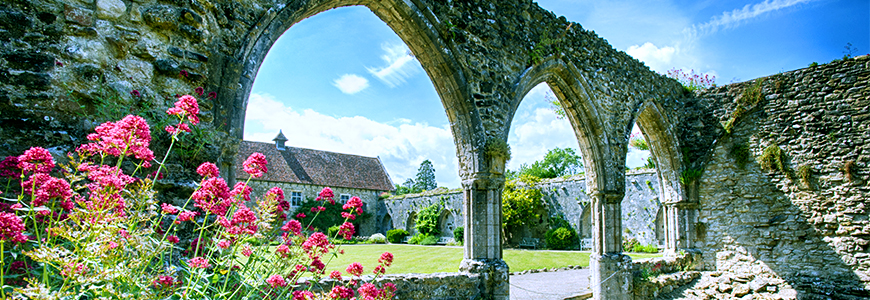 Abbey Ruins