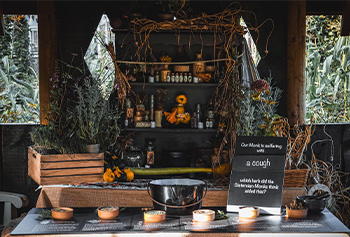 October half term at Beaulieu