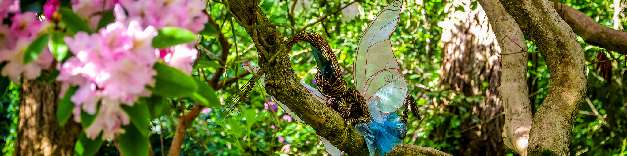 Fairy and dragon sculpture trail at Beaulieu