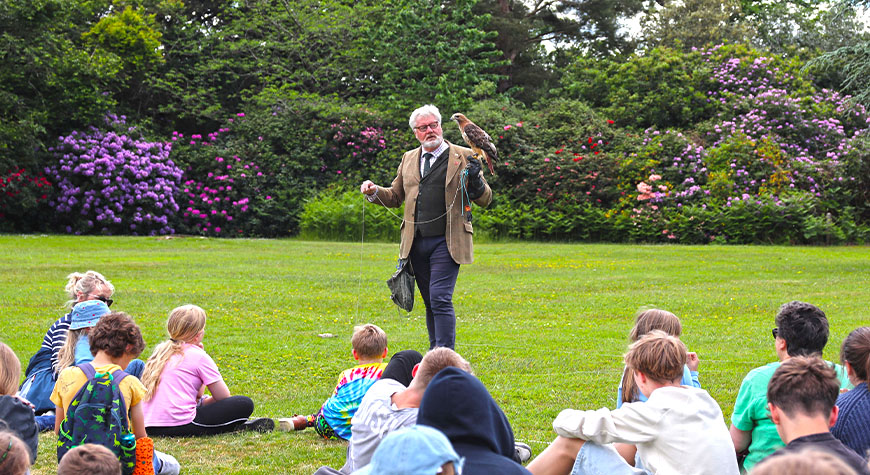 Falconry at Beaulieu