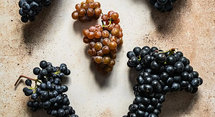 Spring Table - winery