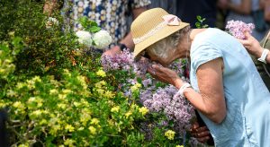 BBC Gardeners' World Spring Fair