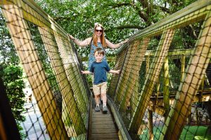 Little Beaulieu adventure play area, Beaulieu 