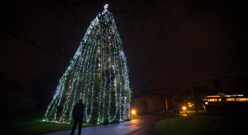 Giant Christmas Tree at Beaulieu