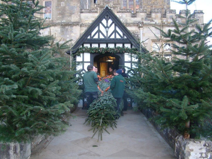 Carrying the 22ft Christmas tree into Palace House for Victorian Christmas
