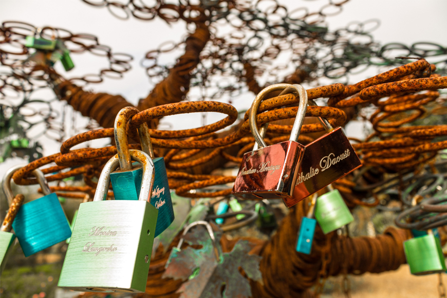 Padlocks on love-lock tree
